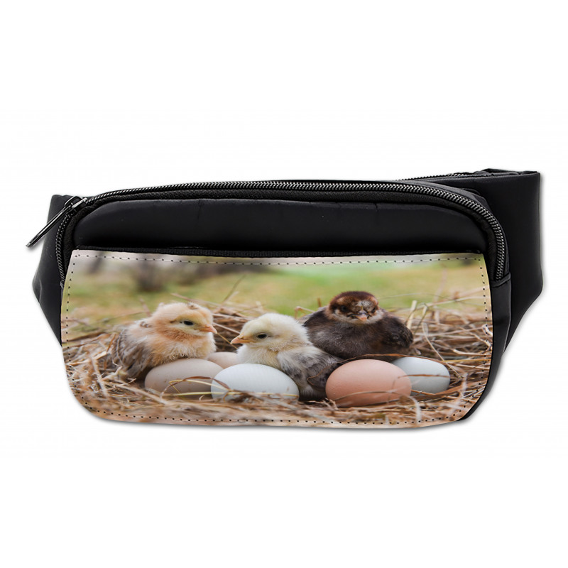 Little Chickens in Hay Eggs Bumbag