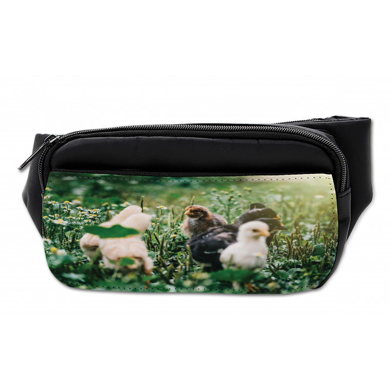 Little Chickens in Daisies Bumbag