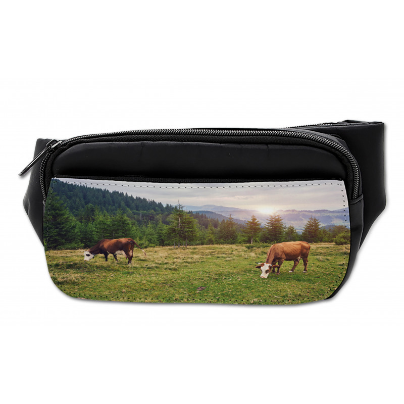 Cows Grazing in Meadow Bumbag