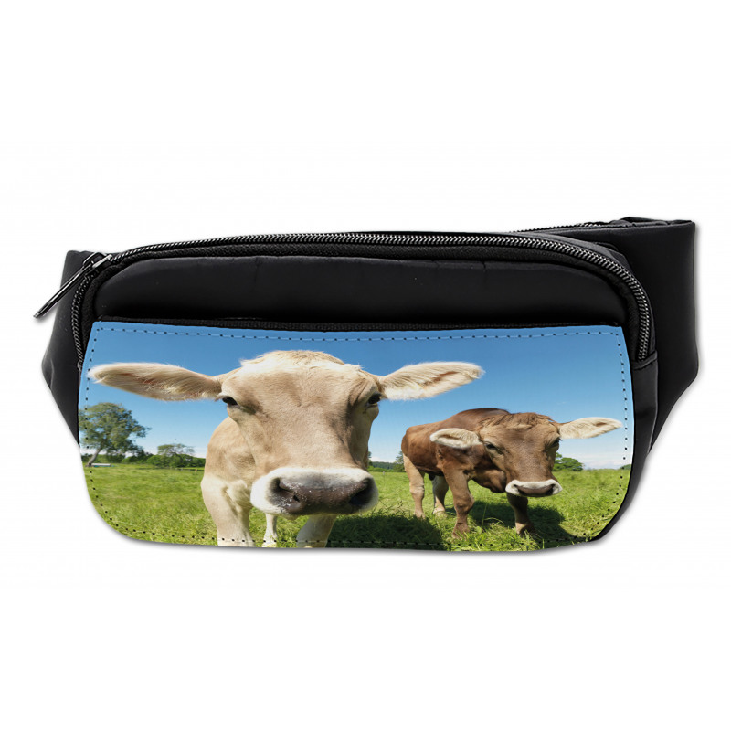 Close up Cows Bumbag