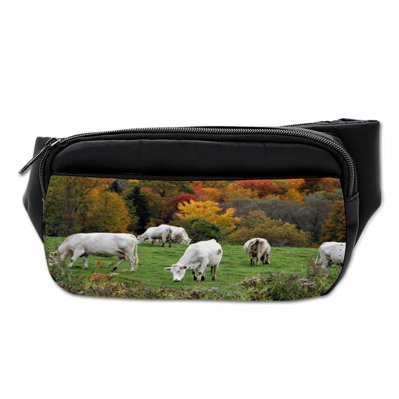 Cows on Autumn Hill Bumbag