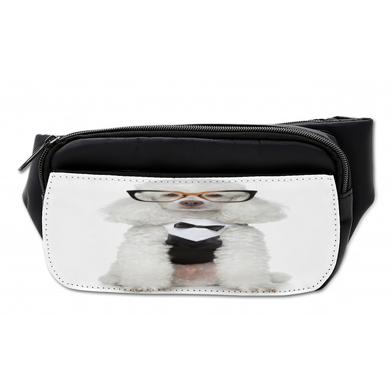 Groomed Doggie in Tuxedo Bumbag