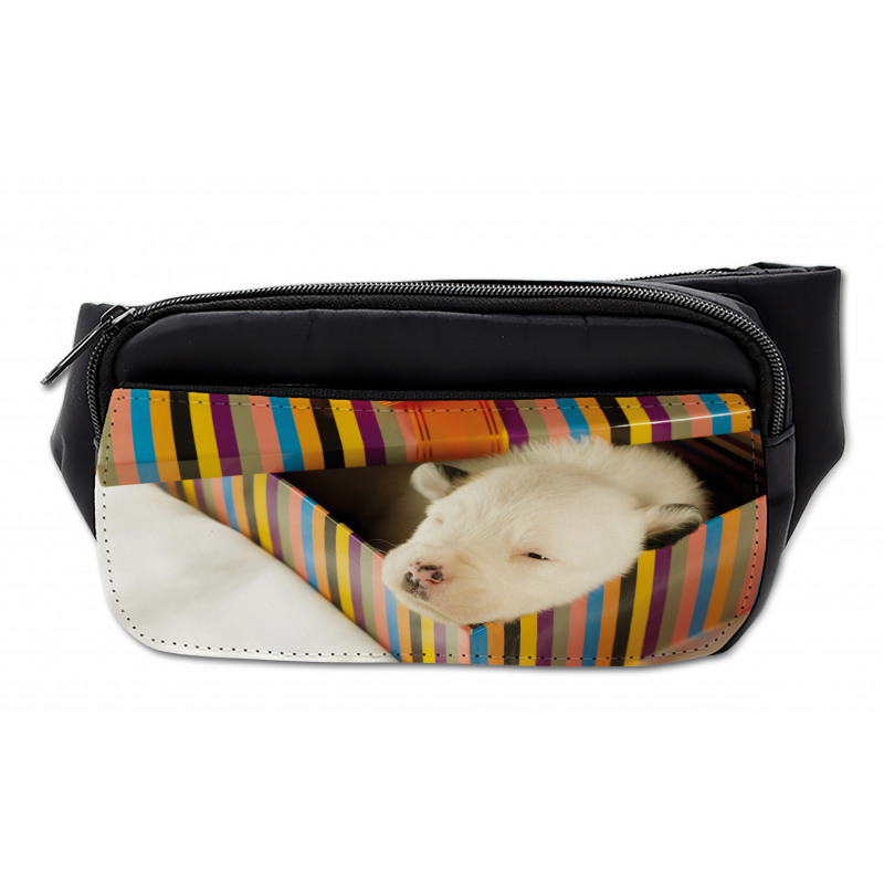 Newborn Dog in Gift Box Photo Bumbag