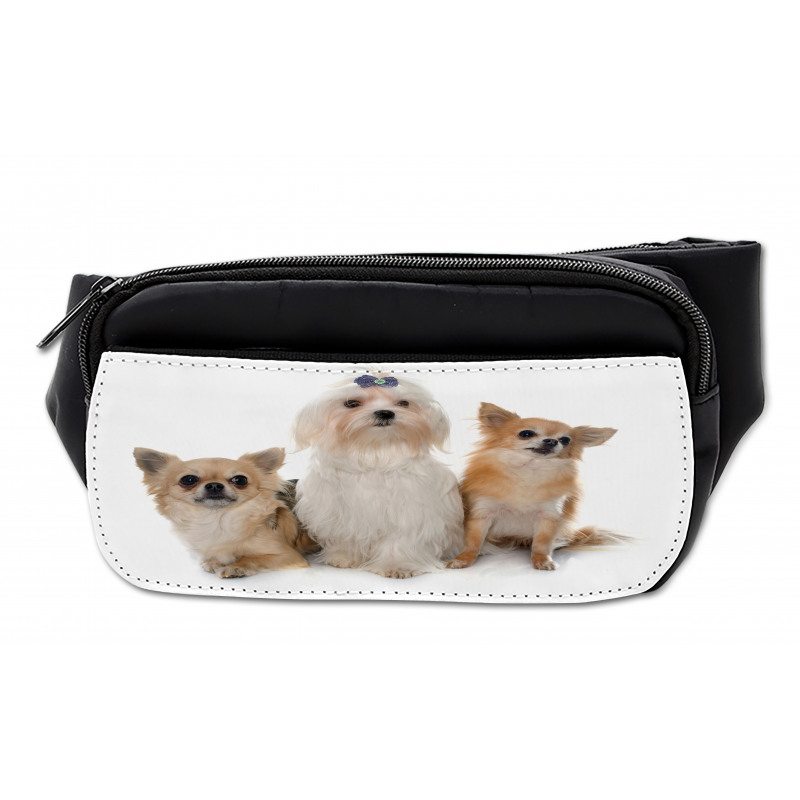 Chihuahua and Maltese Dogs Bumbag