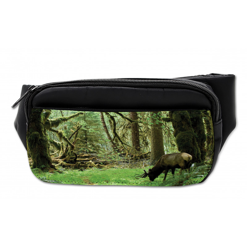 Roosevelt Elk in Park Bumbag