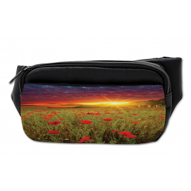 Meadow Poppies Sky Bumbag