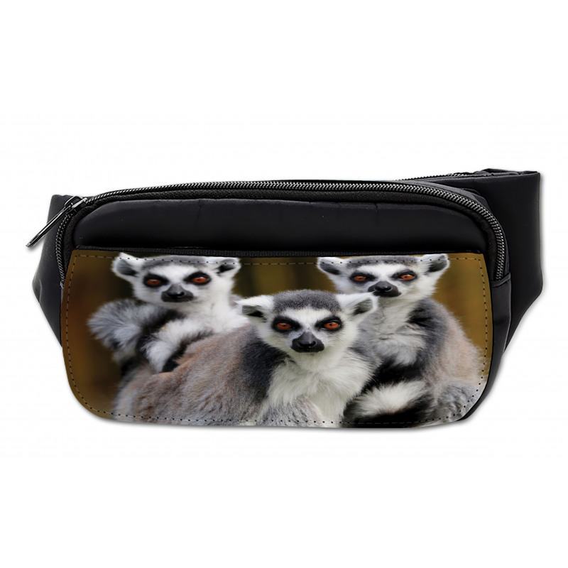 Ring Tailed Monkey Animals Bumbag