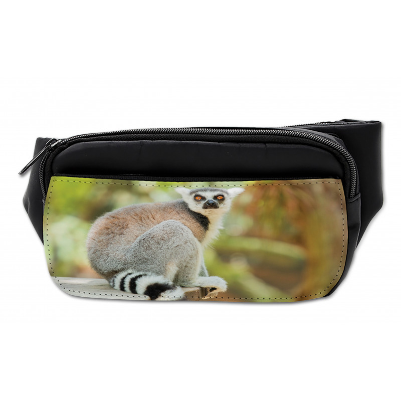 Aperture Photo Mammal Animal Bumbag