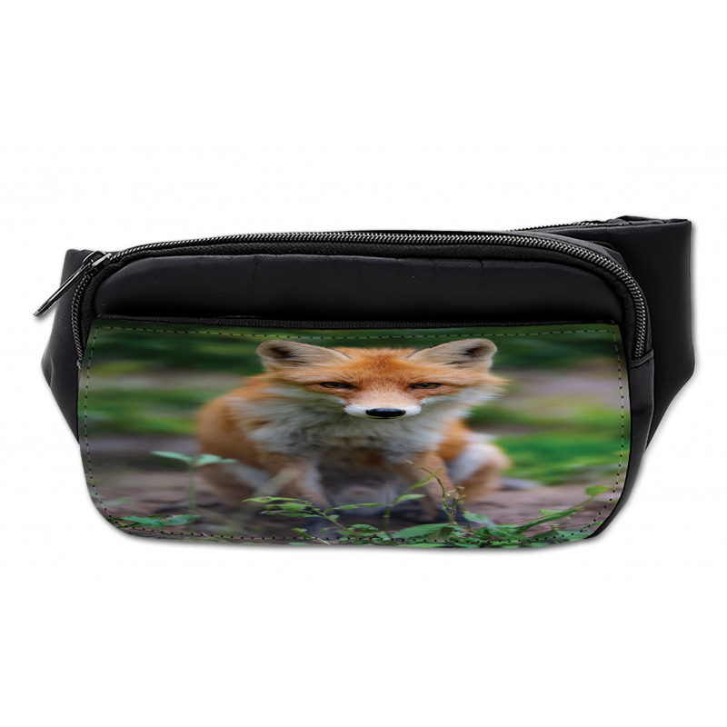 Young Coyote Photo Bumbag