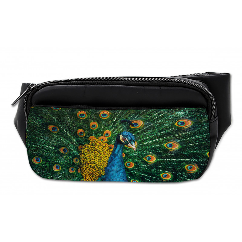 Portrait of the Peacock Bumbag