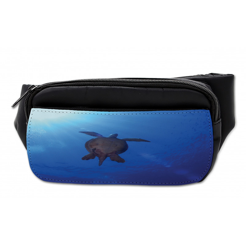 Sea Turtle in Deep Sea Bumbag