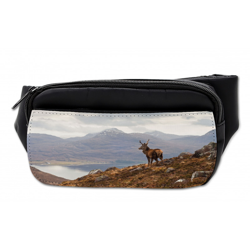 Western Ross Mountain View Bumbag