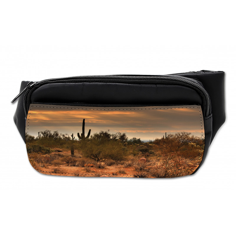 Dramatic Shady Desert Bumbag