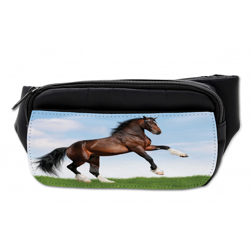 Horse Pacing on Grass Bumbag