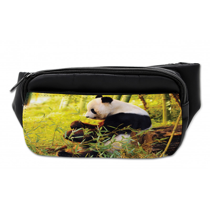 Panda Sitting in Forest Bumbag