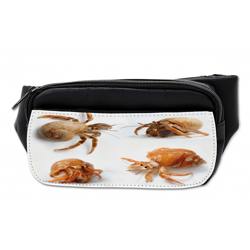 Hermit Crabs Pattern Bumbag