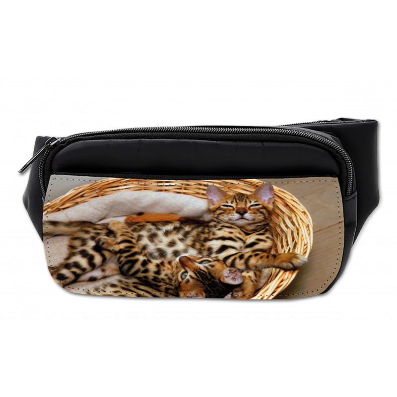 Bengal Cats in Basket Bumbag