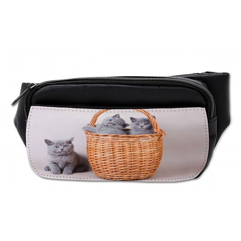 British Cats in Basket Bumbag