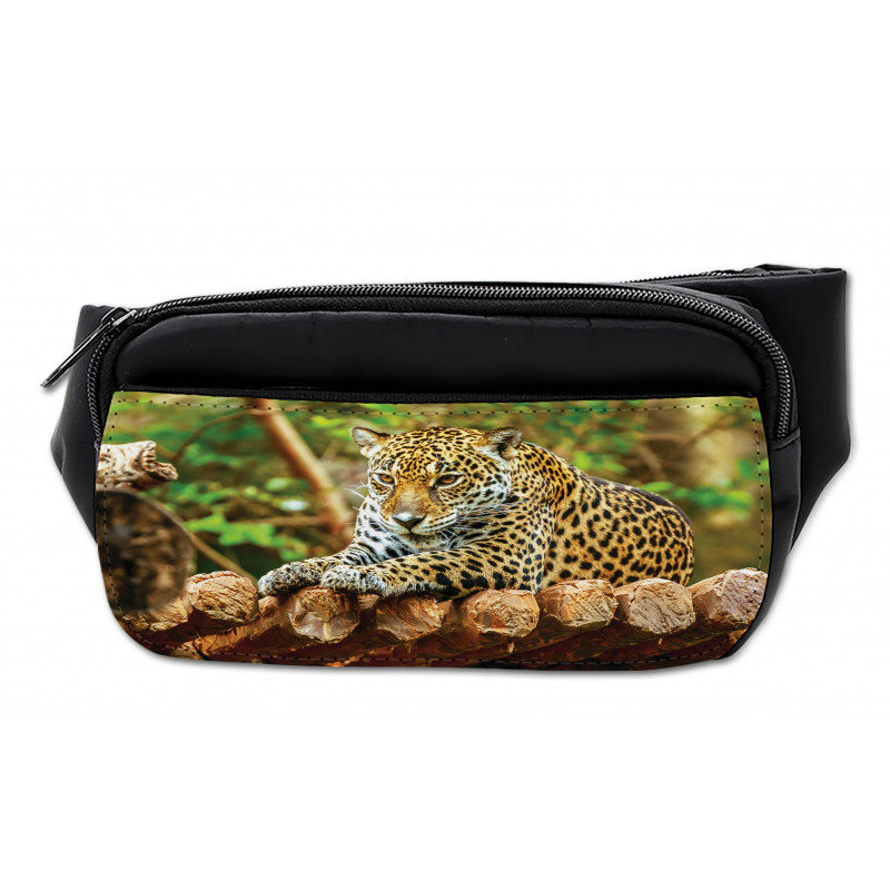 Jaguar on Wood Wild Feline Bumbag