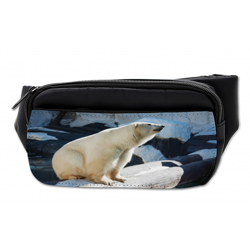 Polar Bear in Park Rocks Bumbag