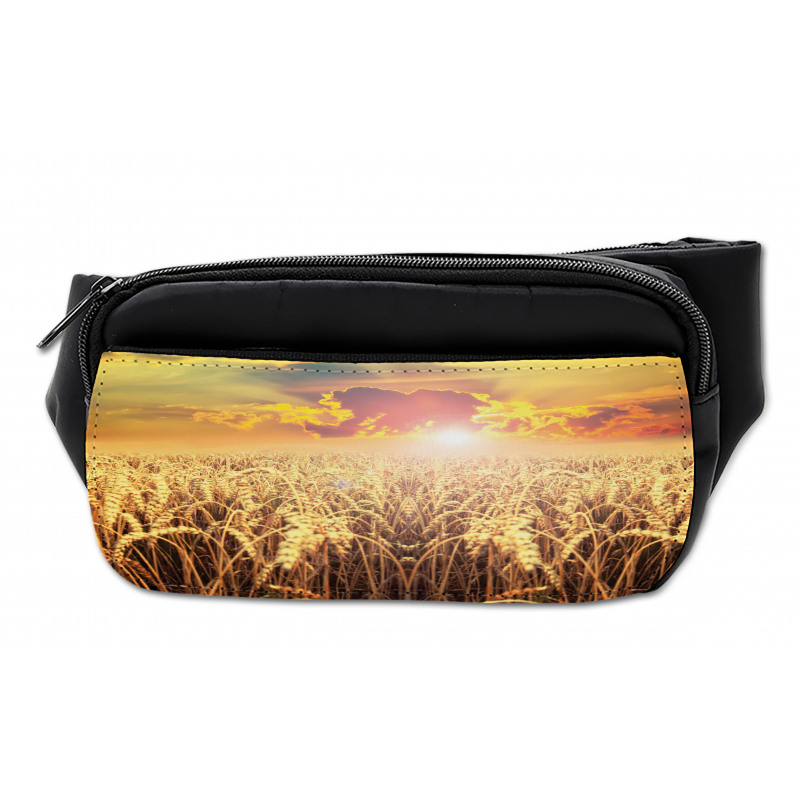 Anther Field Sunset Bumbag