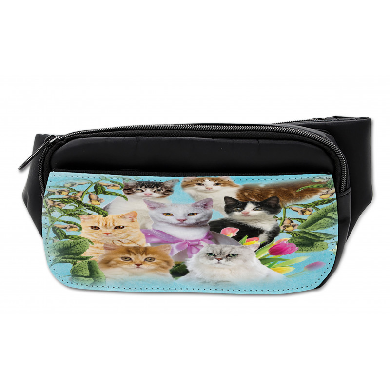 Cats Feline Domestic Bumbag