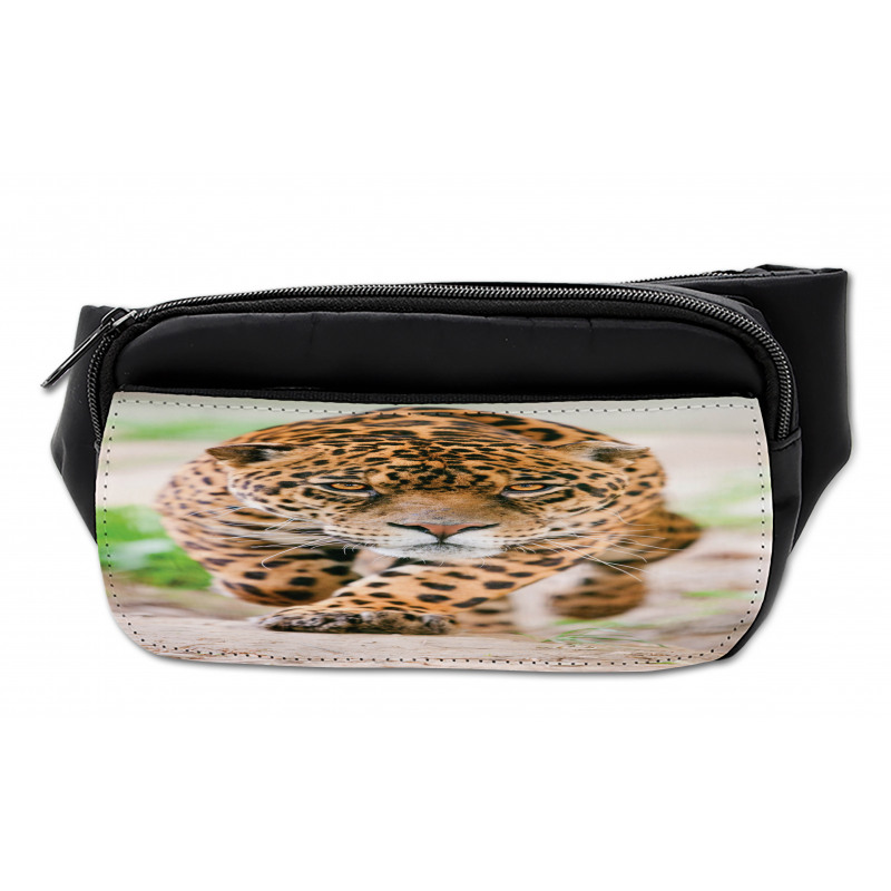 Jungle Fauna Predator Cat Bumbag