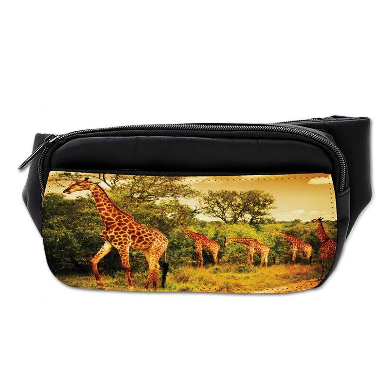 Safari Animals Bumbag