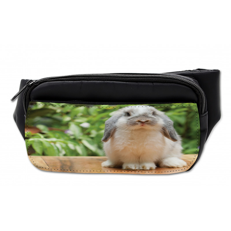 Photo of Holland Lop Rabbit Bumbag