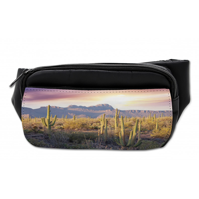 Saguaro Cactus and Mountain Bumbag