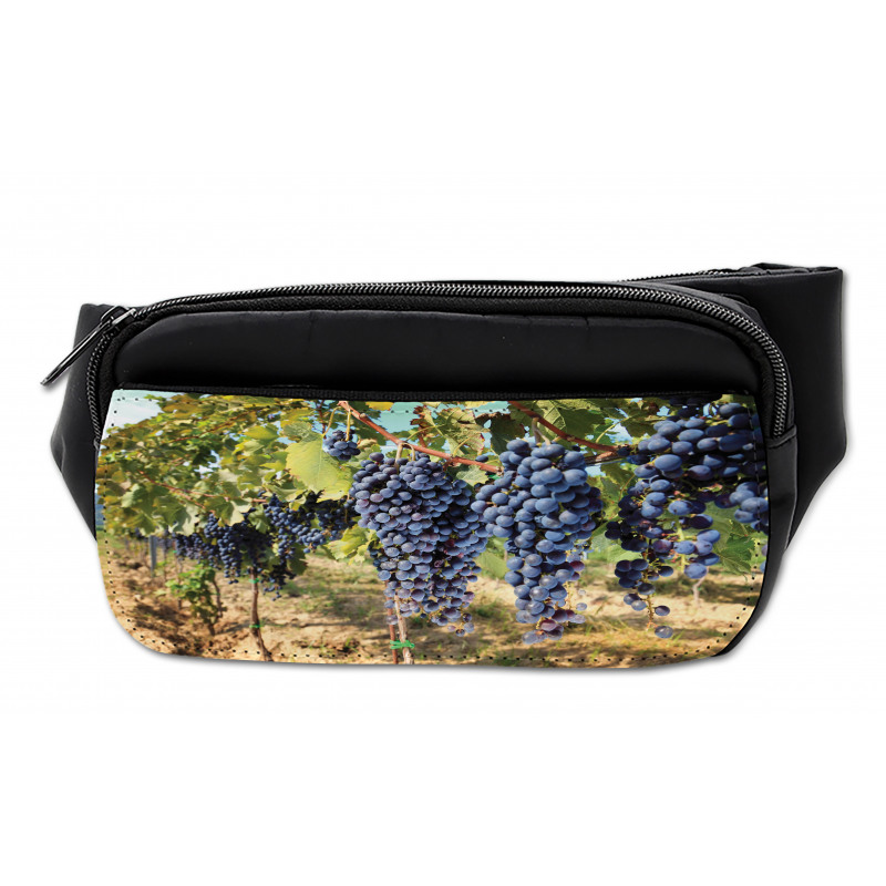 Rows of Wine Fruits in Italy Bumbag