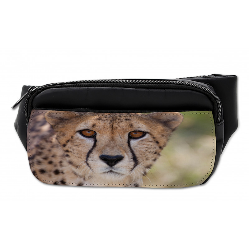 Close up Image of Cheetah Bumbag