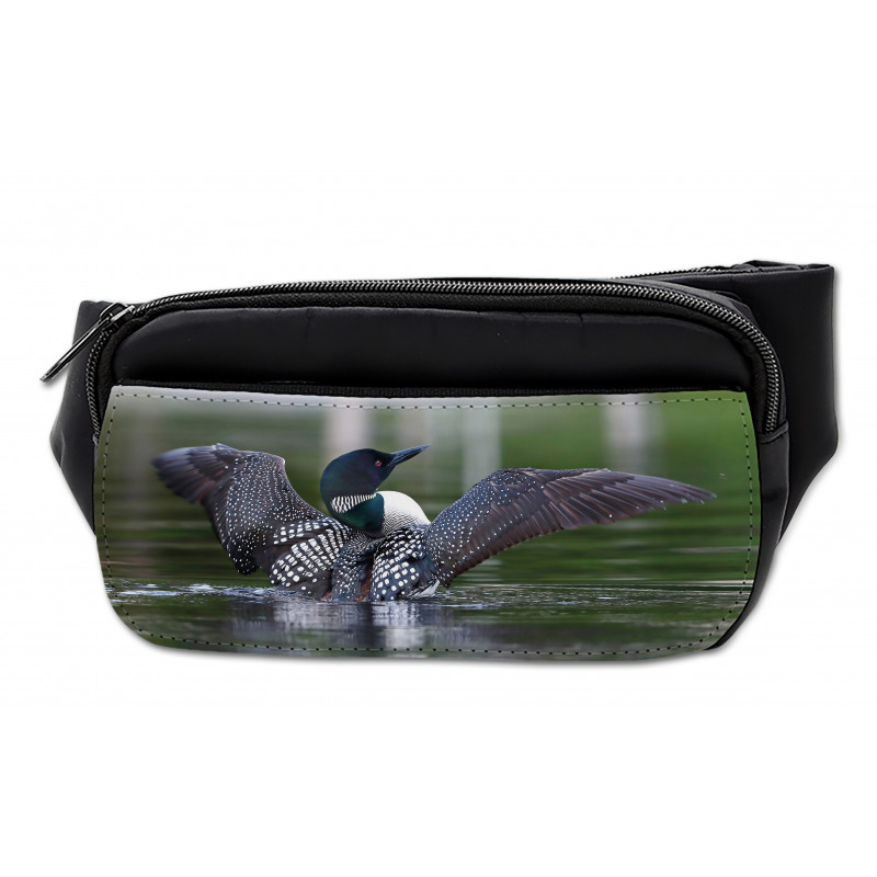 Image of Common Loon on Water Bumbag