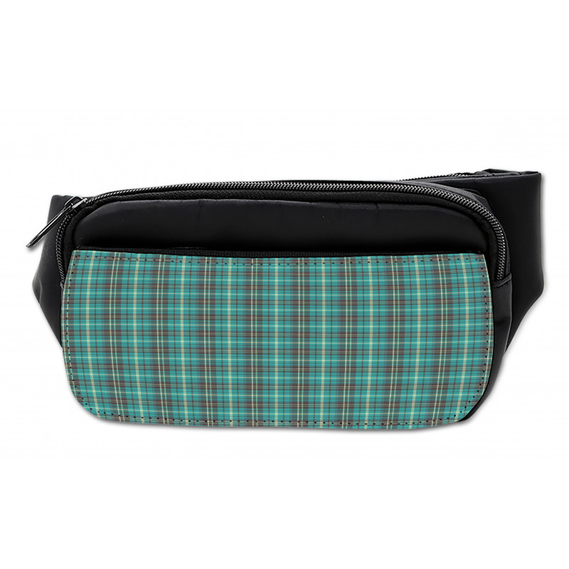 Plaid Form with Stripes Bumbag