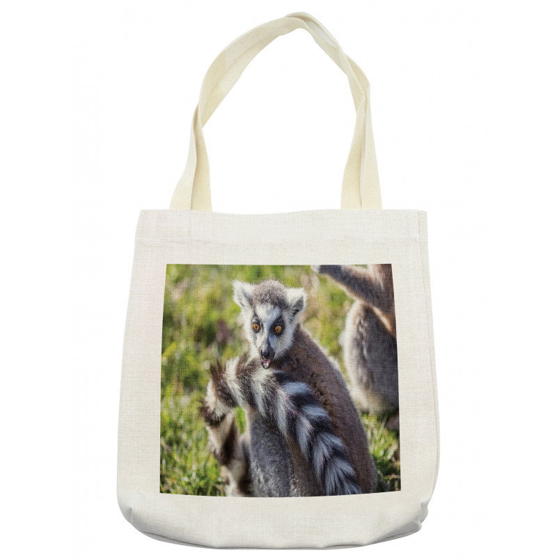 Ring Tailed Funny Expression Tote Bag