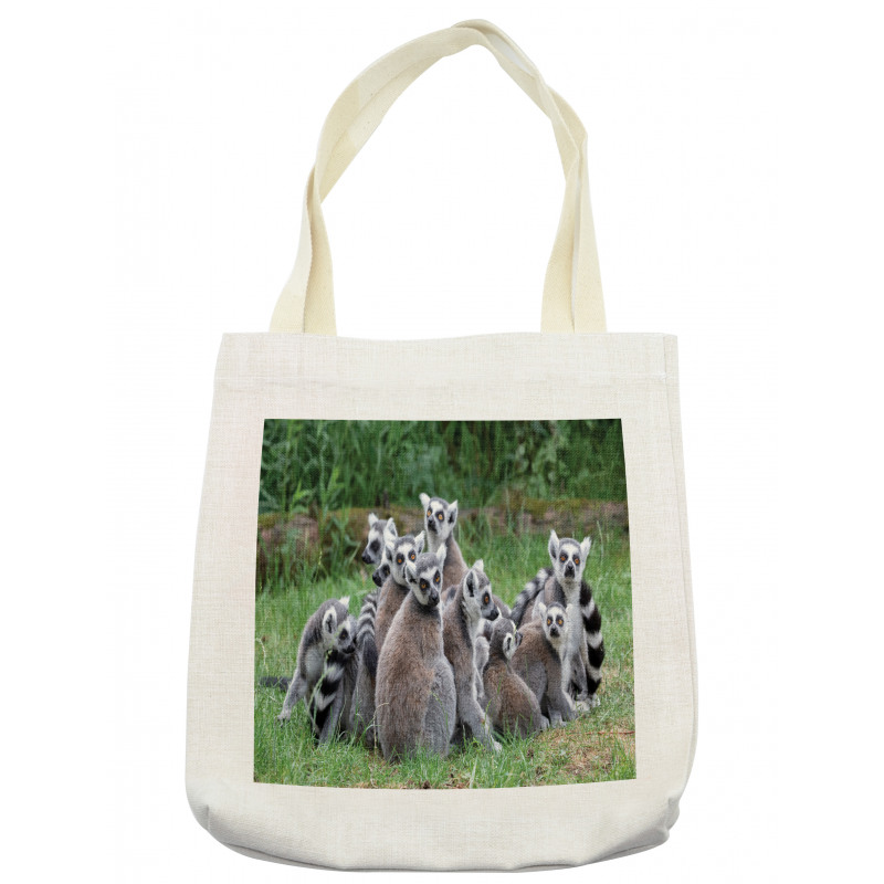 Ring Tailed Madagascar Monkey Tote Bag