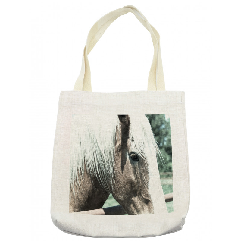 Draft Horse from Netherlands Tote Bag