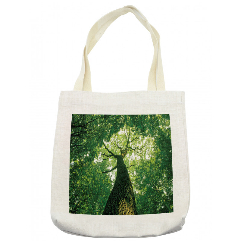 Leaves Tree Branches Tote Bag