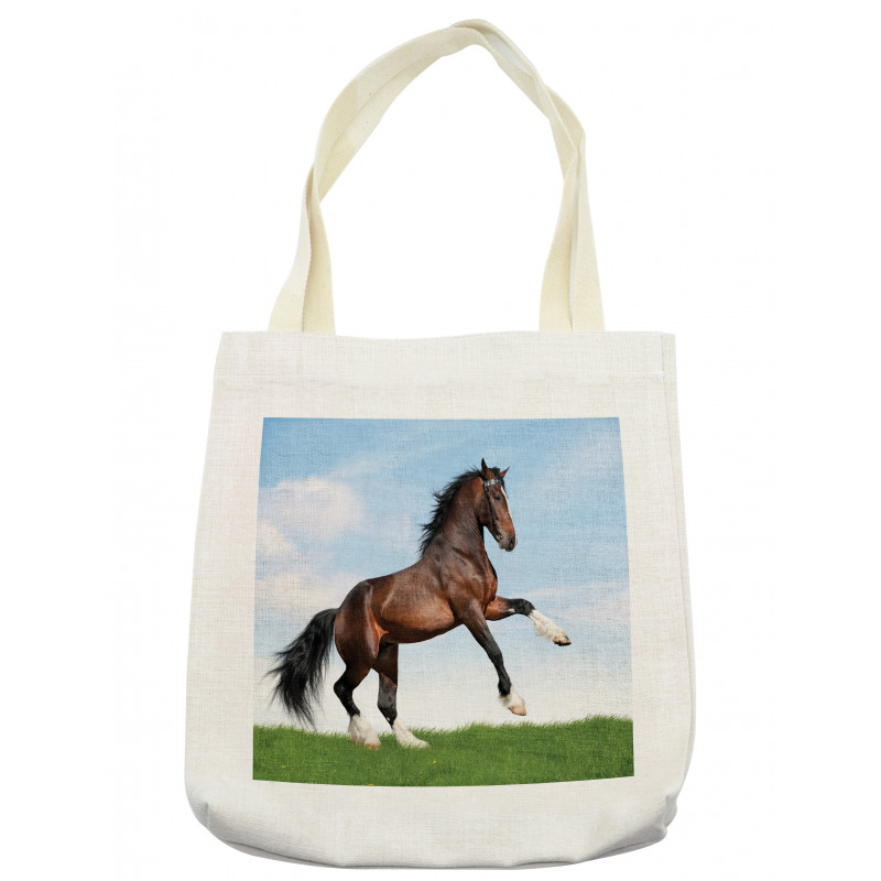 Horse Pacing on Grass Tote Bag
