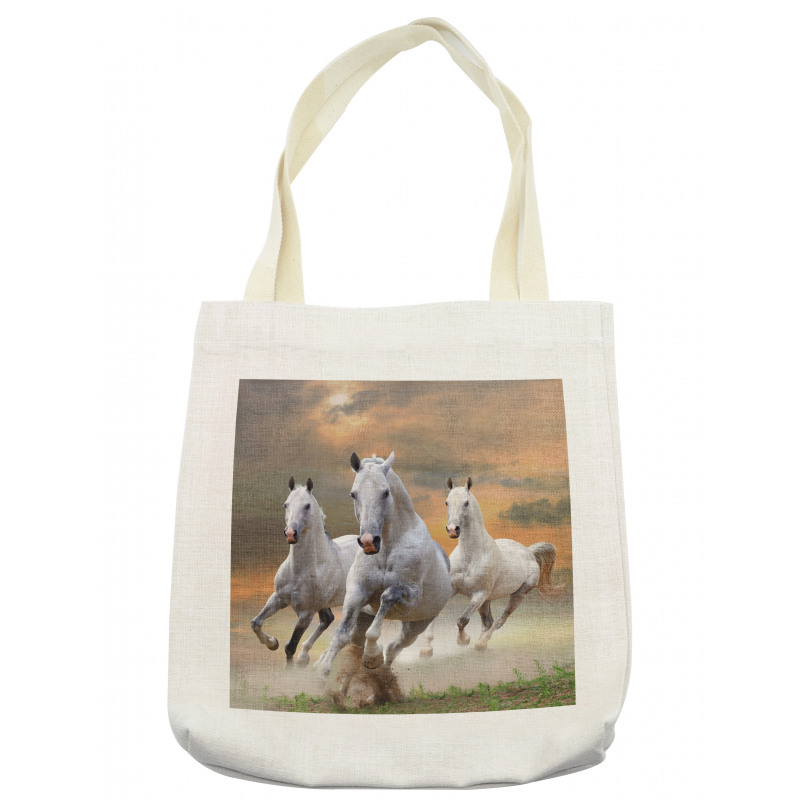 Mystical Sky  Tote Bag