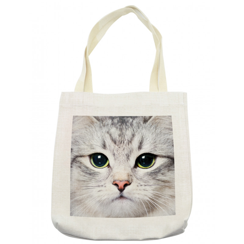 Face of a Domestic Kitty Tote Bag