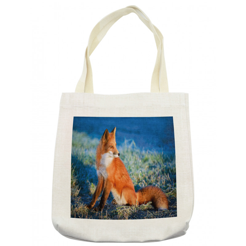 Serene Cold Autumn Field Tote Bag