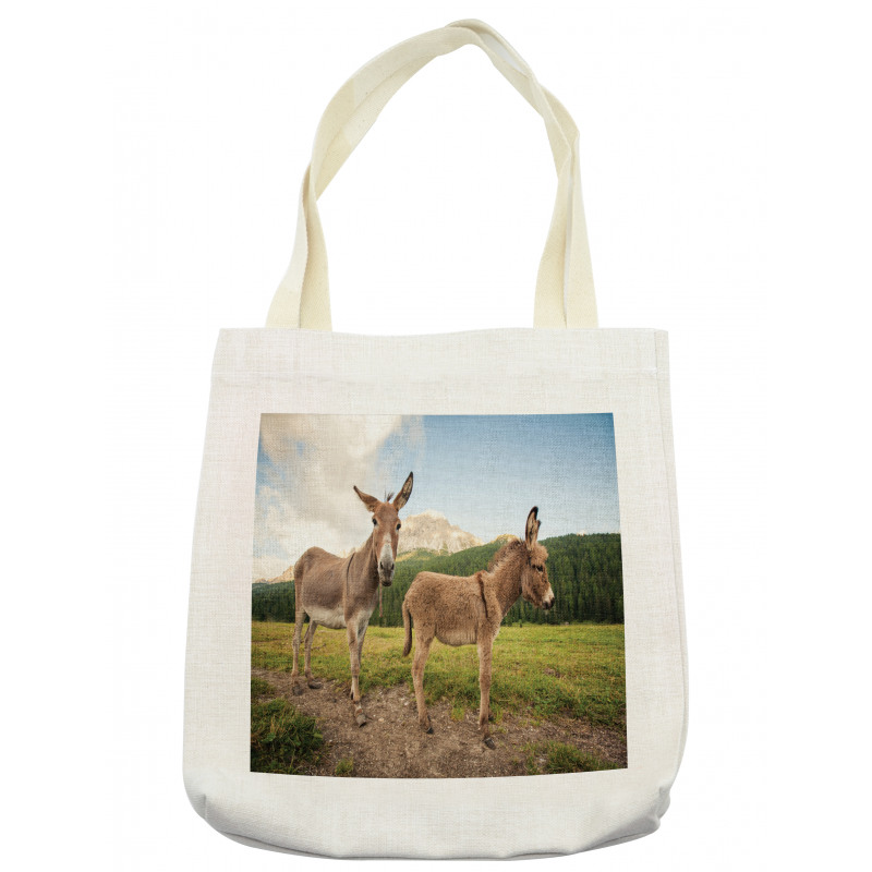 Dolomites Italy Countryside Tote Bag