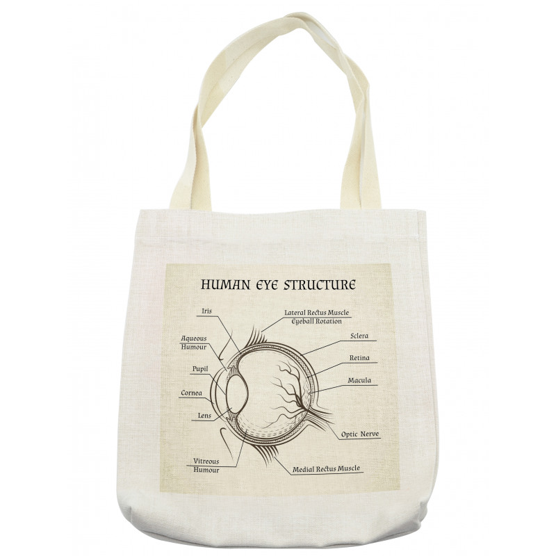 Structure of the Human Eye Tote Bag