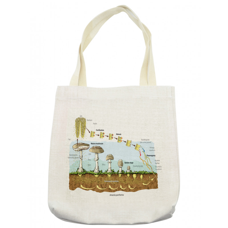 Life Cycle of Mushrooms Tote Bag