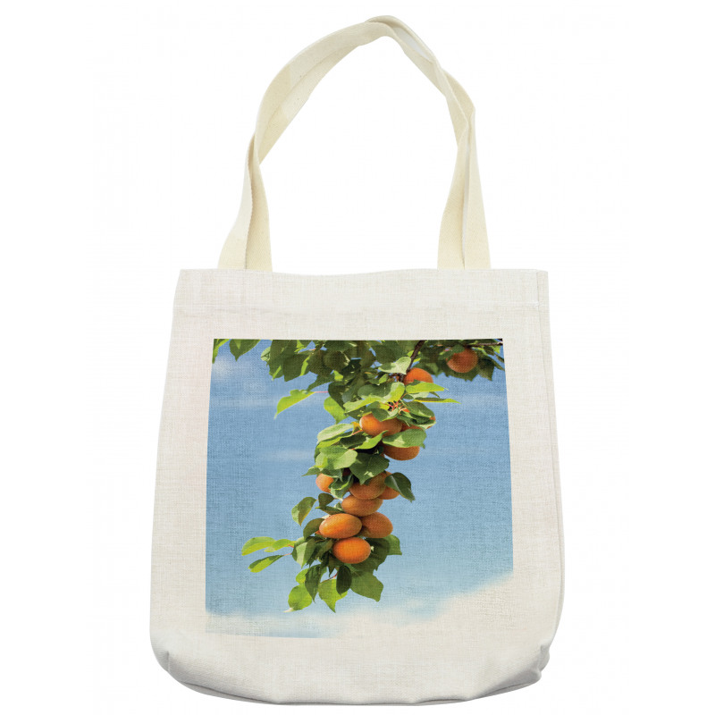 Succulent Apricots on Tree Tote Bag