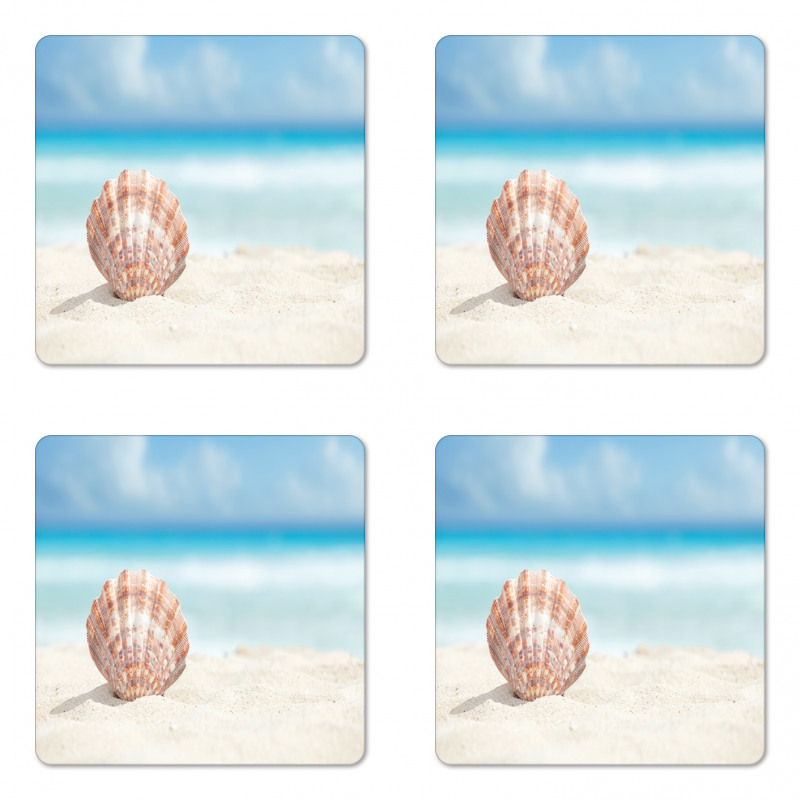 Sandy Exotic Beach Shell Coaster Set Of Four