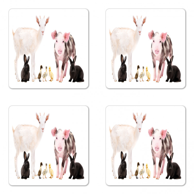 Ducks Pig Goat Bunnies Coaster Set Of Four