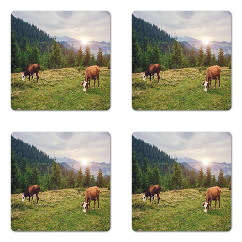 Cows Grazing in Meadow Coaster Set Of Four