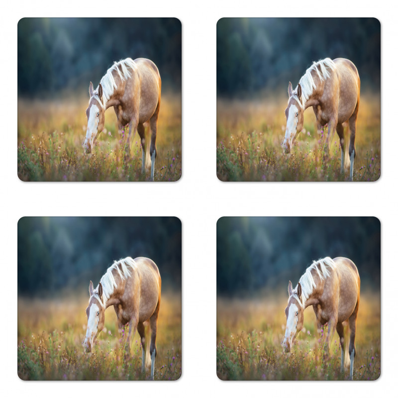 Palomino Horse Grazing Coaster Set Of Four